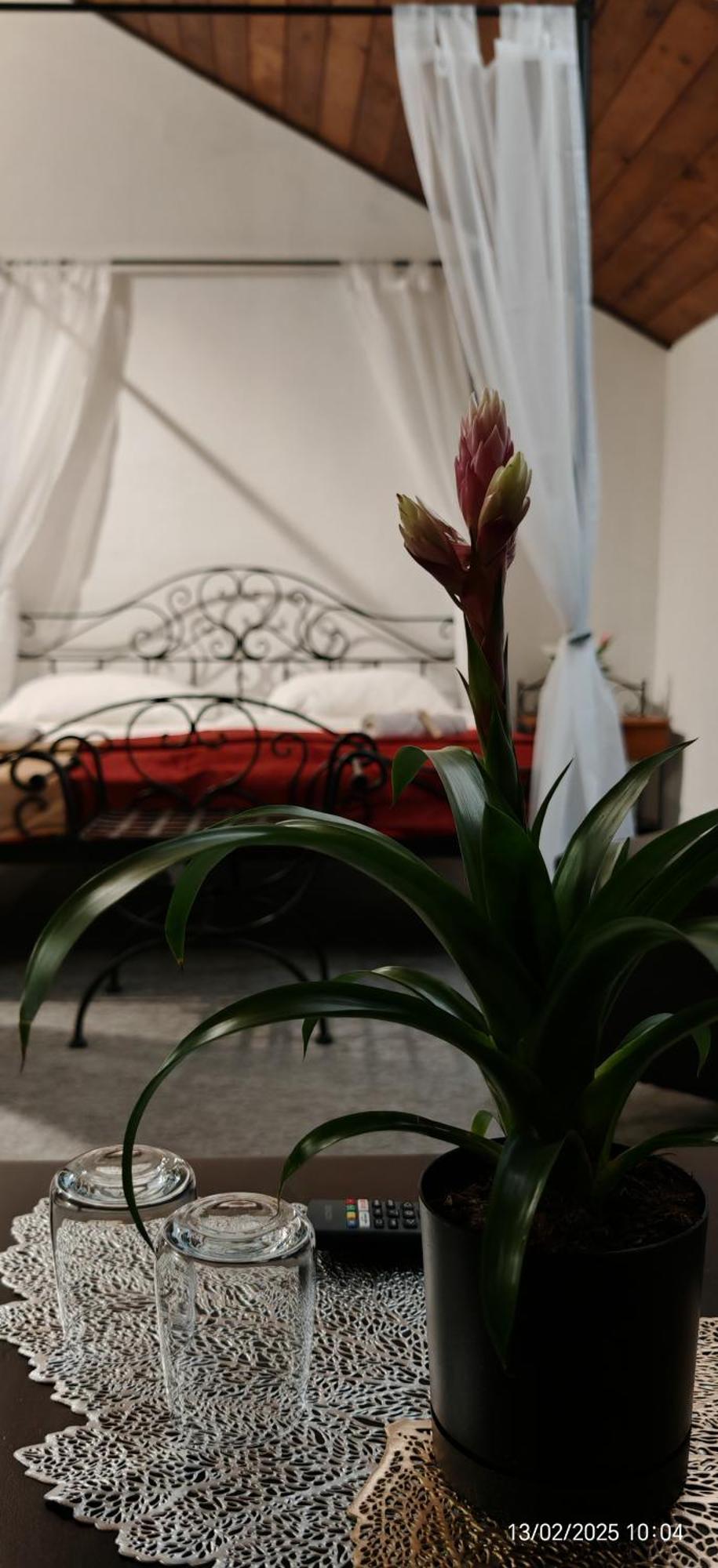 Hotel Plzensky Dvur Фрідек-Містек Екстер'єр фото