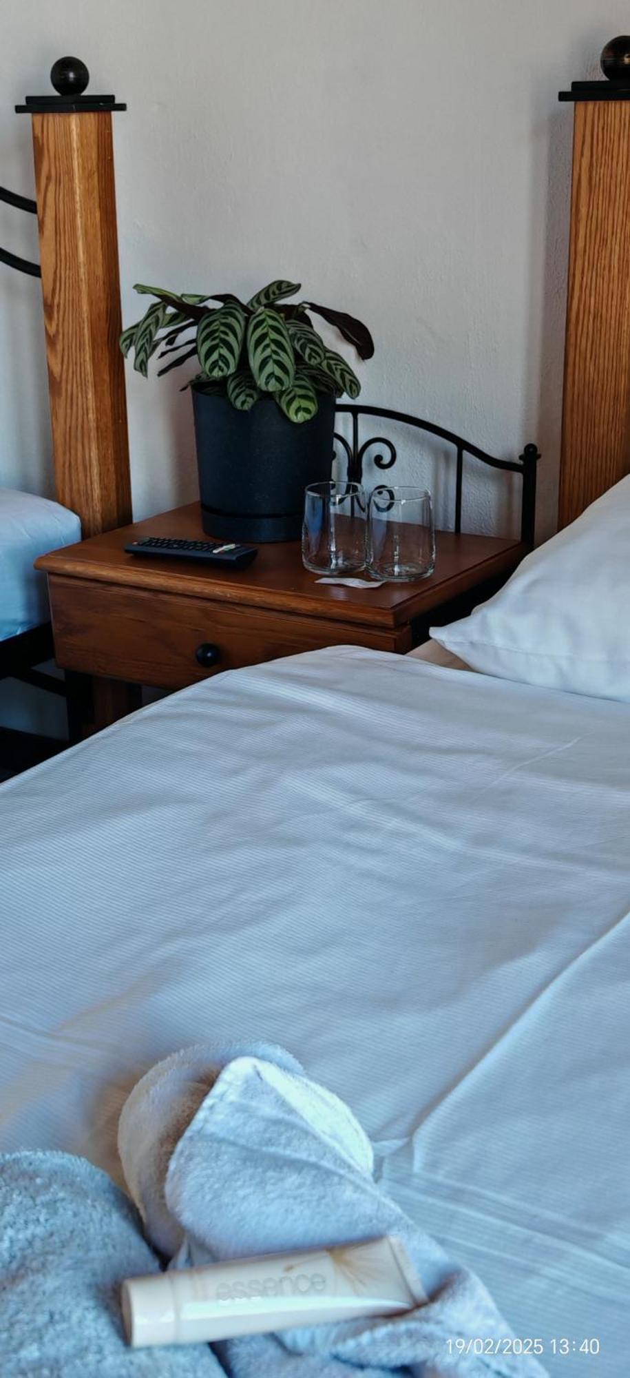 Hotel Plzensky Dvur Фрідек-Містек Екстер'єр фото